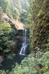 Waterfall in a forest, Oregon