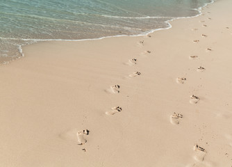 Footprints of bare feet are on a wet sand of the beach