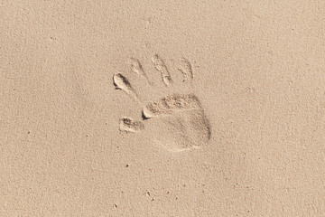 Palm imprint in coastal sand at summer day