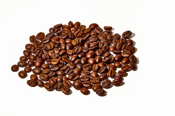 Arabica and Robusta coffee beans on a white background
