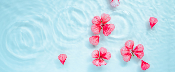 pink flowers float on the water with highlights. care concept