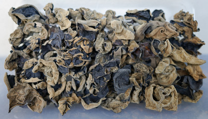 Dried chinese black fungus​ in 
plastic box.