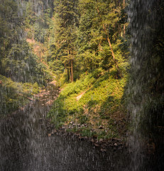 Waterfall, Oregon, USA