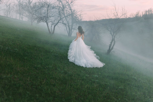 Mysterious silhouette scared woman running in spring sunset in fog. luxury elegant evening vintage princess wedding dress flies in motion. Art queen lady medieval clothes. autumn mystic nature forest