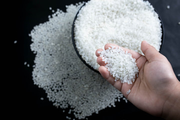 Rice used for sushi. Short Grain Sushi Koshihikari Rice. Japanese rice.