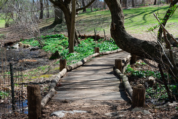 Small Empty Wood Footbridge at the Northern Area of Central Park in New York City during Spring