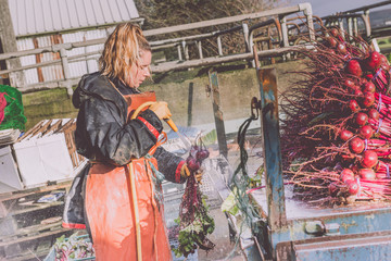Female Farmer washing beetroot