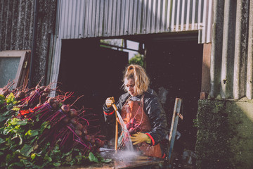 Female Farmer washing beetroot