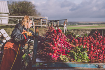 Female Farmer washing beetroot