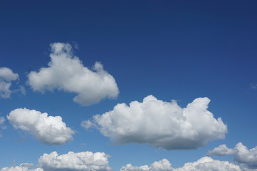 Fototapeta premium gradient of sky with snow-white lush clouds