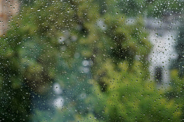 raindrops on the glass. blurry images of trees