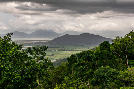 Landscape of Wet Tropics near Cairns, Queensland, Australia. View from lookout in Daintree Forest. 