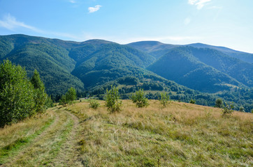 Naklejka na ściany i meble Golden field near green trees on hills. Sun and clouds - panoramic landscape of Carpathian mountains, Ukraine
