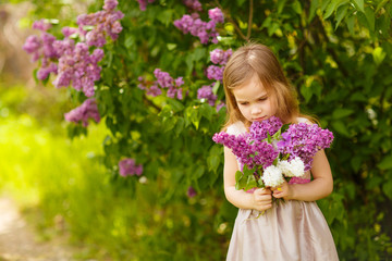 Fototapeta premium beautiful kid girl near a lilac flowers 
