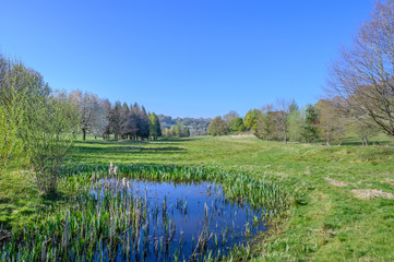 The overgrown pond is in the Woodlands Manor Golf Club. It is a disused golf course located in West...