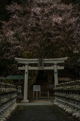 神社