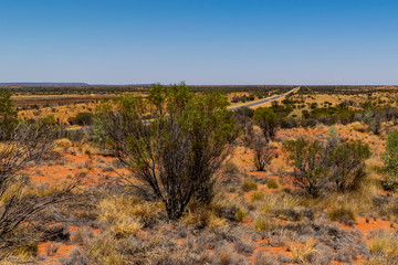Australian outback landscape with Mount Conner in the background. Tree, bush, red sand on the desert.