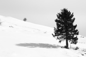 Mountain landscape in winter season. Mount Grappa landscape