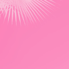 Fototapeta na wymiar Palm leaves on bright pink background. Minimal concept. Copy space