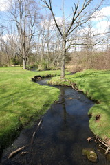 river in the park