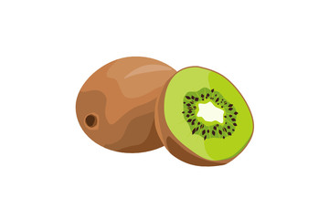 Kiwifruit or Chinese Gooseberry illustration. A whole and a sliced half fruit. Isolated on a white background. Vector.