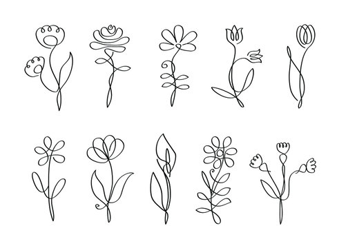 Vector isolated flowers line art, flowers with one line, floral set, collection of black flowers isolated on white background, line illustration