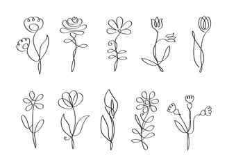  isolated flowers line art, flowers with one line, floral set, collection of black flowers isolated on white background, line illustration
