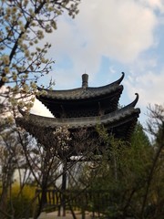 A castle surrounded by spring