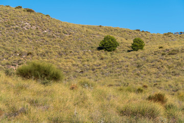 mountainous landscape near the Beninar reservoir (Spain)