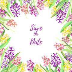 Save the date or congratulation, invitation card square template with Spring hyacinths flowers on white background. Hand painted in watercolor