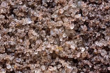 Closeup of an E horizon of a Podzol or Spodosol