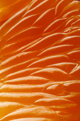 Foto macro di mandarino (interno)