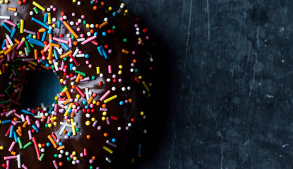 A doughnut covered in dark chocolate and sprinkled with bright colored crumbs