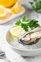 Oysters in a gray bowl with ice on a light gray table. Healthy seafood