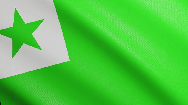 Editorial Flag of the Esperanto Language of the United States with Realistic Fabric Texture Waving in the Wind. Esperanto Flag Looping Seamless Background 3D Animation.