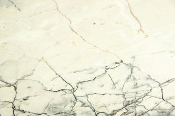 A slab of natural white-colored stone with veins is called Bianco Portugalo marble