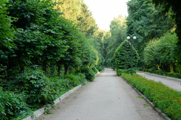 Fototapeta na wymiar Big green city park with alleys