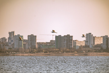 Obraz premium Burgas Skyline