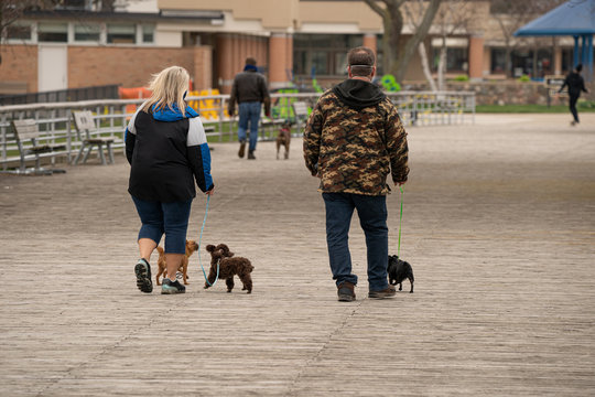 unknown couple walks dogs in park while wearing protective masks due to Cornona Virus