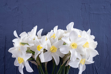a bouquet of white daffodils lies on a table on a blue background