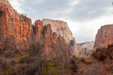 Zion National Park