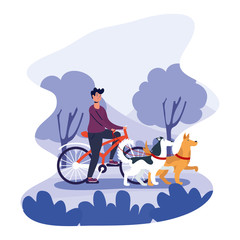 man walking dogs in bicycle activity