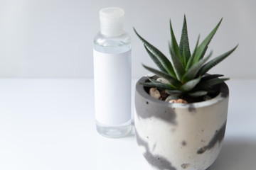 Cosmetic bottle for liquid, cream, gel, lotion. Hand sanitizer. Organic natural science beauty product. Battle with haworthia flower on white background