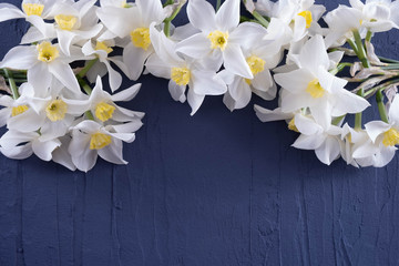 white daffodils lie on a table on a blue background