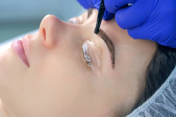 Cosmetologist making lash laminating and eyebrow painting for woman in beauty clinic, face closeup, side view. Beautician applying dark brown paint on woman's brows using brush in cosmetology.