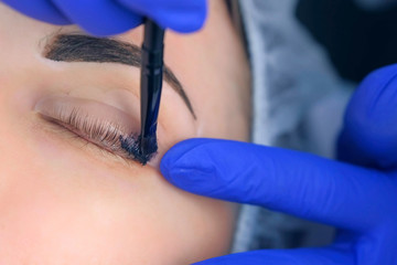Cosmetologist applying dark brown paint on woman's lashes, lash laminating and painting, closeup face. Beauty procedures in cosmetology clinic. Beautician painting patient's eyelashes.