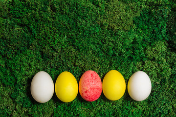 Fototapeta na wymiar multi-colored eggs lie on moss, grass, top view. Easter.