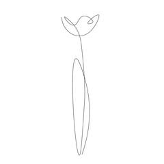 Flower tulip silhouette one line drawing. Vector illustration