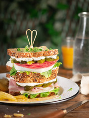 Huge delicious sandwich with different fillings including salami, ham, fermented pickles, lettuce, fresh white cheese, herbs on a rustic background. Rustic style, summer station, selective focus.