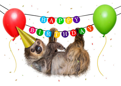 Funny Sloth Hanging From Happy Birthday Banner